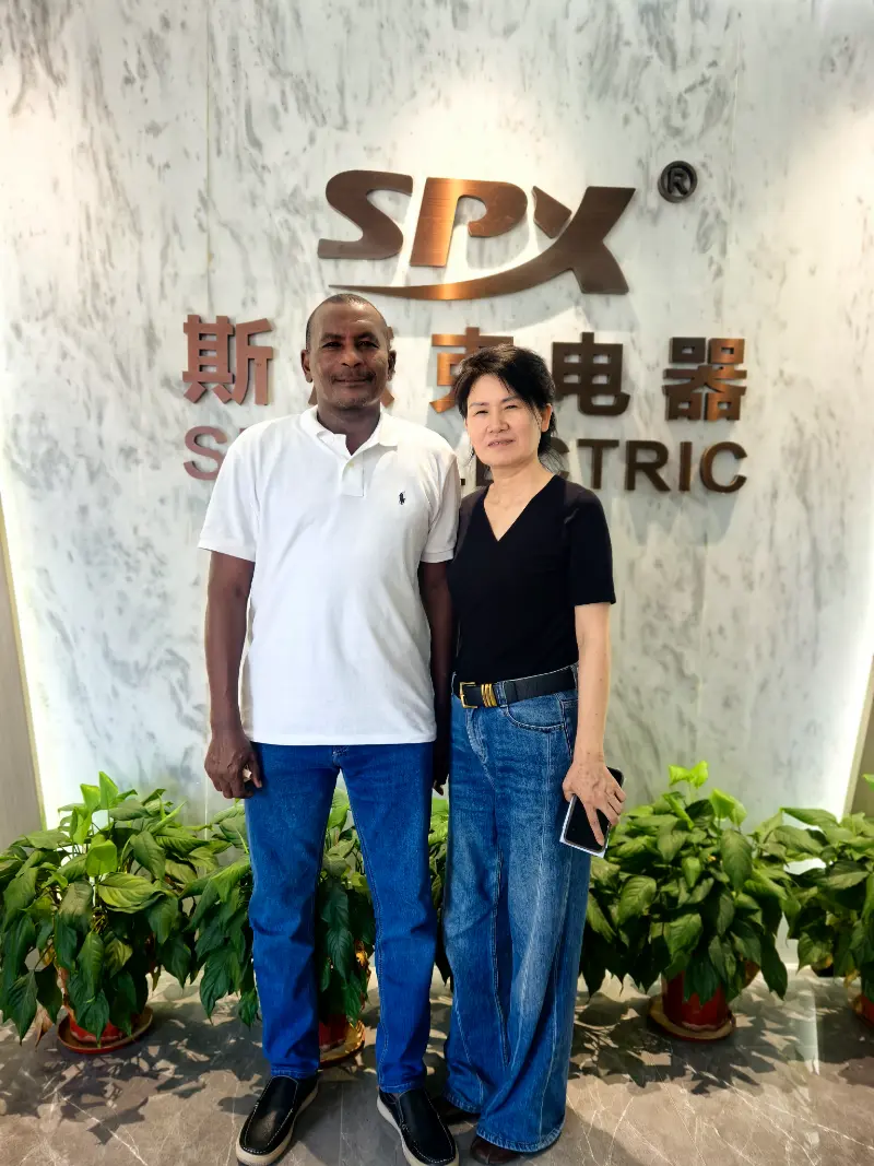 Overseas Client Inspects MCCB, AC Contactor and VFD Production at SPX ELECTRIC Factory