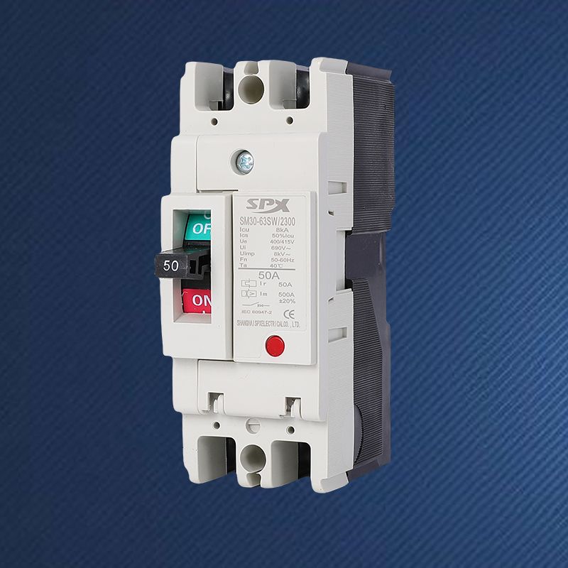 2P 63A Molded Case Circuit Breaker